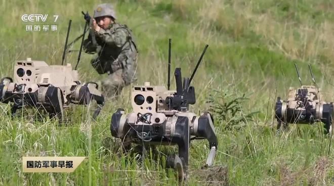인민해방군 76집단군 소속 보병 부대가 ‘로봇늑대’와 무인기를 활용해 훈련하고 있다.  CCTV 화면 캡처