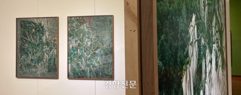 동강사진상 수상자 원성원 작가의 작품들. 김창길 기자