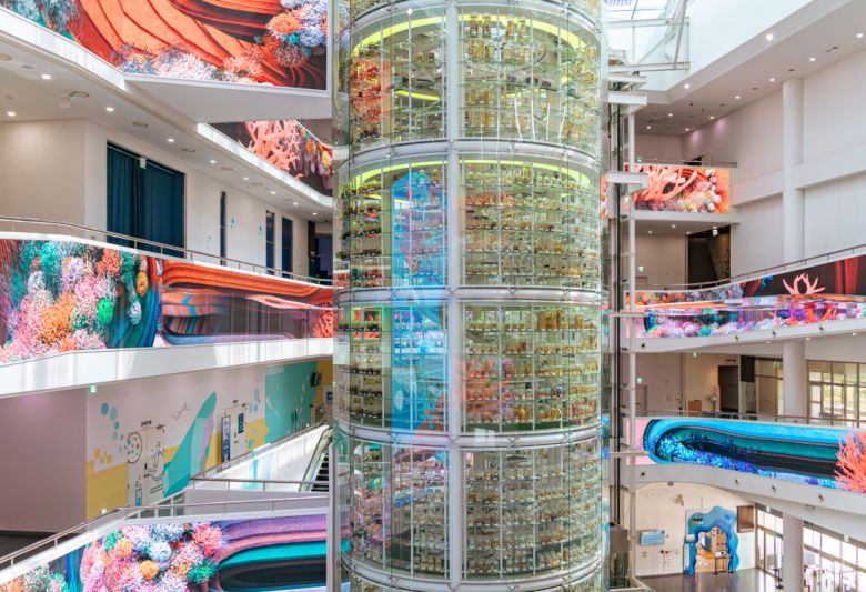 우리 바다에 서식하는 생물의 표본을 모은 생명의 탑.