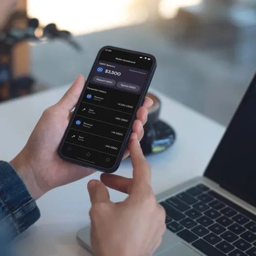 서클이 발행한 달러 스테이블 코인 ‘USDC’ 이미지. 서클 홈페이지 갈무리