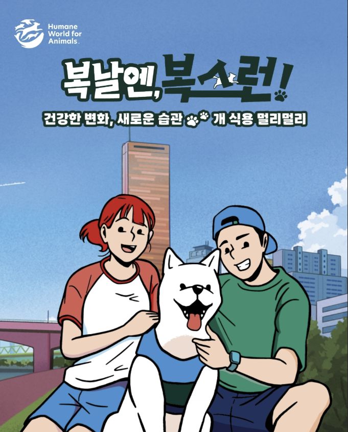 동물단체 ‘휴메인 포 월드 애니멀즈’가 초복을 하루 앞둔 지난 19일 시작한 ‘복날엔, 복스런!’ 캠페인. 한국 휴메인 포 월드 애니멀즈 제공