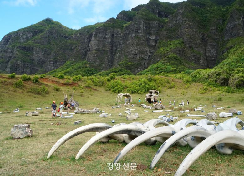 <콩: 스컬아일랜드>를 촬영한 너른 현장에서 관광객들이 공룡뼈(모형)를 배경으로 포토타임을 갖고 있다.