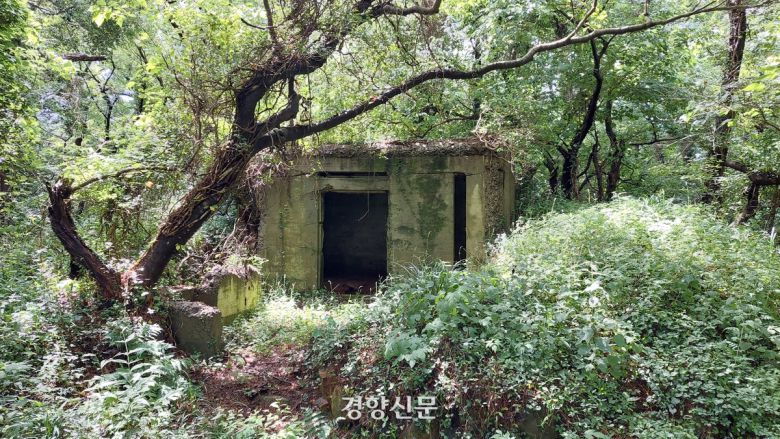 부산 태종대 태종산에서 찾은 일본군 포대 막사. 김찬호 기자
