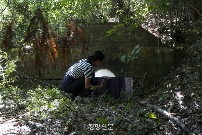 조인진 국립군산대학교 학예사는 군산시와 군산대에 일제가 군사용으로 만든 인공동굴을 조사하고 발굴해 역사적 가치를 조명하고 있다. 사진은 22일 찾은 전북 군산시 미룡동에 있는 일제 강점기 당시 일본군 참호 모습.2025.08.22 문재원 기자