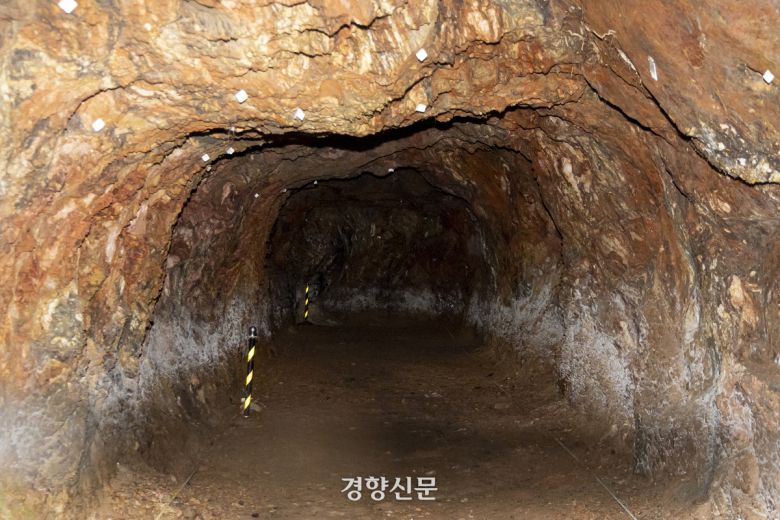조인진 국립군산대학교 학예사는 군산시와 군산대에 일제가 군사용으로 만든 인공동굴을 발굴하고 있다. 사진은 지난 22일 찾은 전북 국립군산대학교 내 일본군 인공동굴 모습. 문재원 기자