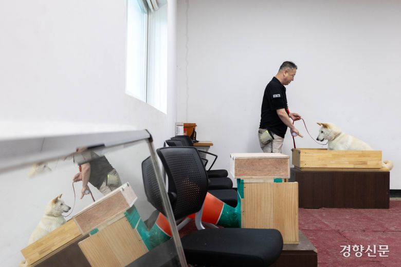 신종필 양성교관과 임회가 실내훈련장에서 복종훈련을 하고 있다.