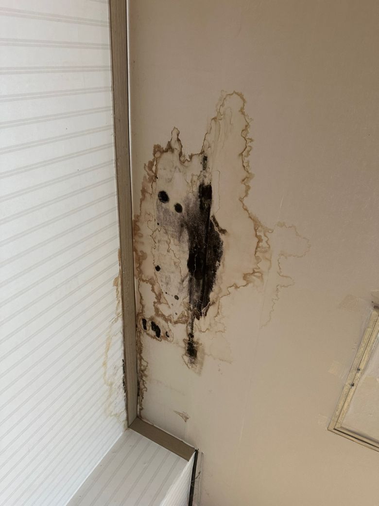 지난해 6월 ‘신체적 학대’ 피해가 접수된 경기 파주시 한 장애인 거주시설 천장에 곰팡이가 피어 있다. 경기북부장애인권익옹호기관 제공