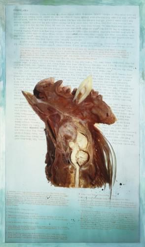 이소요, <이종이식, P56>, 2025, 디지털 프린트, 수채, 연필, 73 x 43 cm