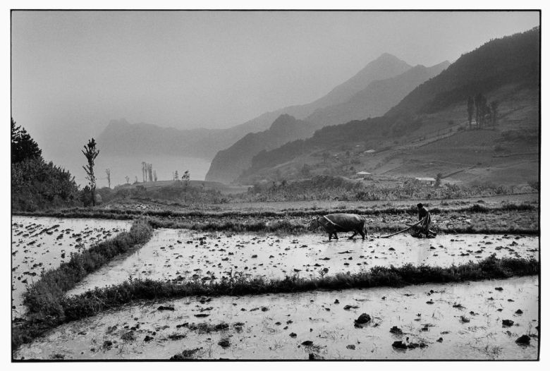 경상북도 울릉도 1973 (C)강운구