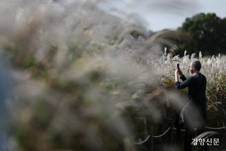 17일 서울 마포구 하늘공원에서 한 외국인 관광객이 억새밭 사이를 걸으며 가을 분위기를 만끽하고 있다.  2025.10.17 성동훈 기자