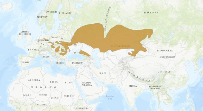 유럽햄스터의 서식지. 출처 : 세계자연보전연맹(IUCN) 적색목록(Red list)
