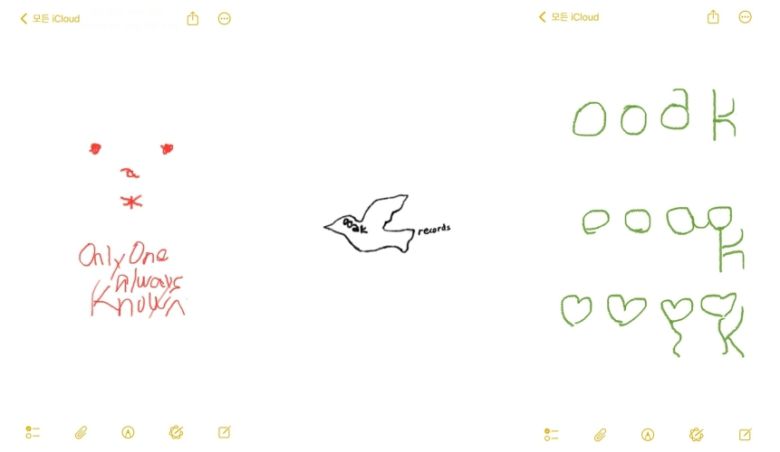 민희진 전 어도어 대표가 24일 자신의 인스타그램에 올린 메모들.  ‘ooak’, ‘ooak records’, ‘only one always known’ 등의 문구가 적혀있다. 민희진 전 어도어 대표 인스타그램 캡처