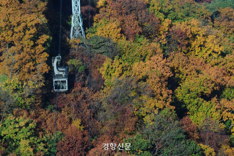 4일 서울 남산의 단풍. 2025.11.4 이준헌 기자