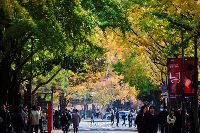 4일 서울 중구 정동길의 단풍. 2025.11.4 이준헌 기자