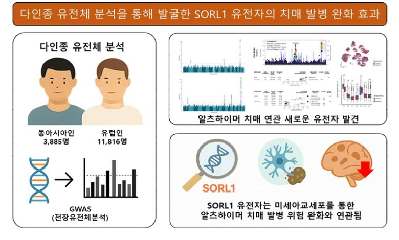 질병관리청 제공