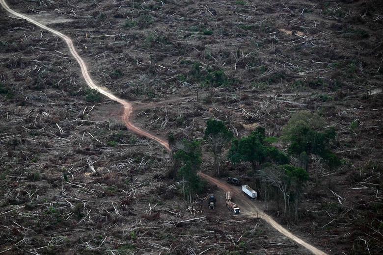 제30차 유엔 기후변화협약(UNFCCC) 당사국총회(COP30)가 열리고 있는 지난 12일(현지시간) 브라질 벨렝 인근 아마존 열대우림에서 한 트럭이 벌채 지역의 목재를 운반하고 있다. AFP연합뉴스