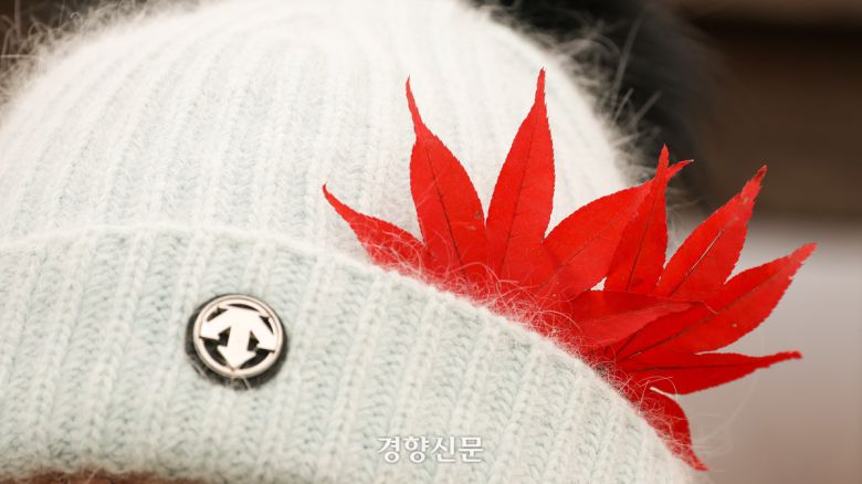 남산을 찾은 한 시민의 모자에 단풍잎이 꽂혀 있다.