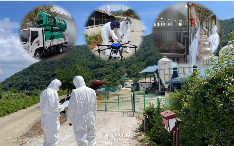 아프리카돼지열병 양돈농장 방역. 경향신문 자료사진