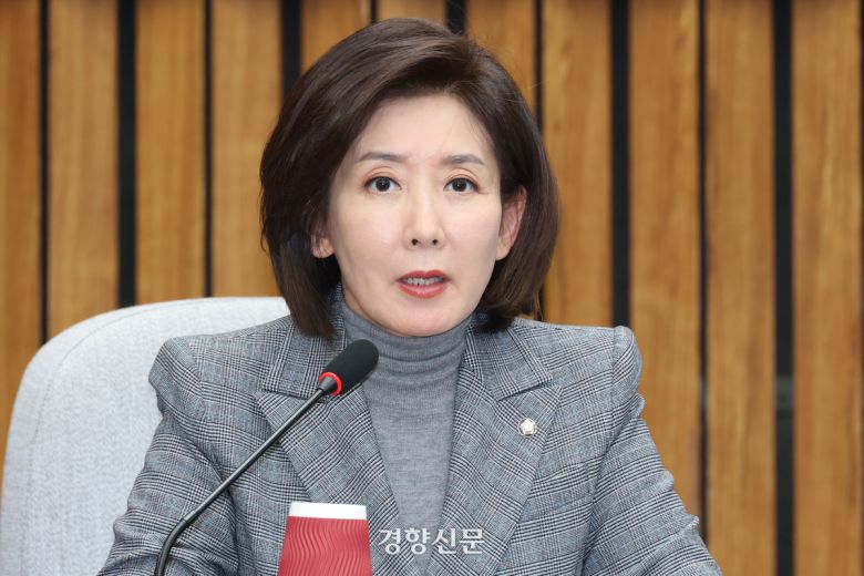 나경원 국민의힘 의원이 지난 24일 국회에서 열린 대장동 범죄수익환수 특별법 제정을 위한 긴급 토론회에서 발언하고 있다. 2025.11.24 한수빈 기자