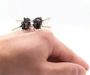 사람 손등에 앉아 있는 로봇 곤충. 수색·구조 임무 등에 투입할 수 있을 것으로 보인다. MIT 연구진 제공