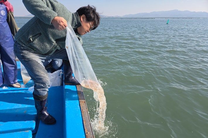 전북도 수산기술연구소가 전국 최초 육상 완전 양식 기술로 생산한 어린 박대 10만 마리를 군산시 비안도와 부안군 대항리 연안에 각각 5만 마리씩 방류하고 있다. 전북도 제공