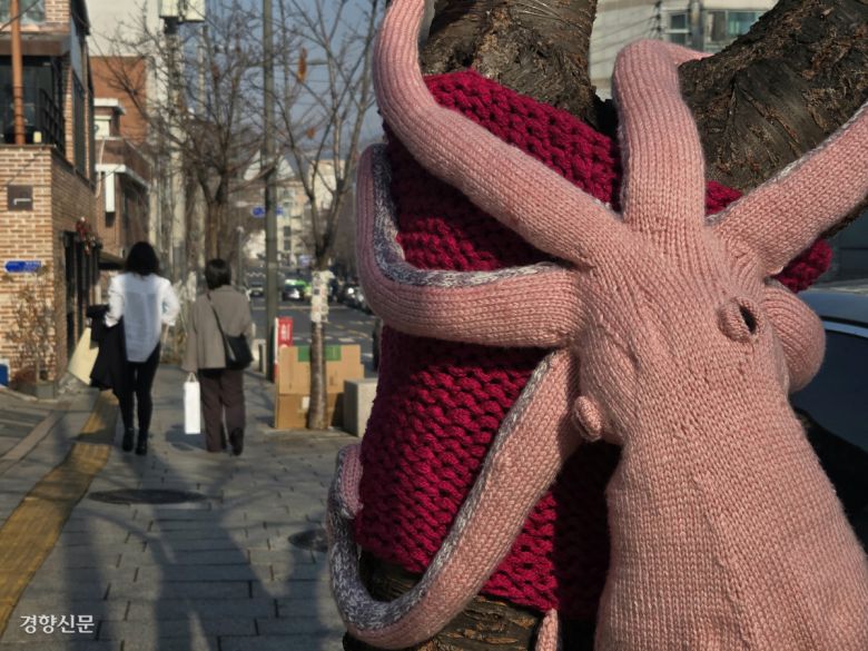 7일 서울 종로구 서촌 거리의 가로수에 털실로 뜨개질한 ‘얀바밍’작품이 입혀져 있다. 우혜림 기자