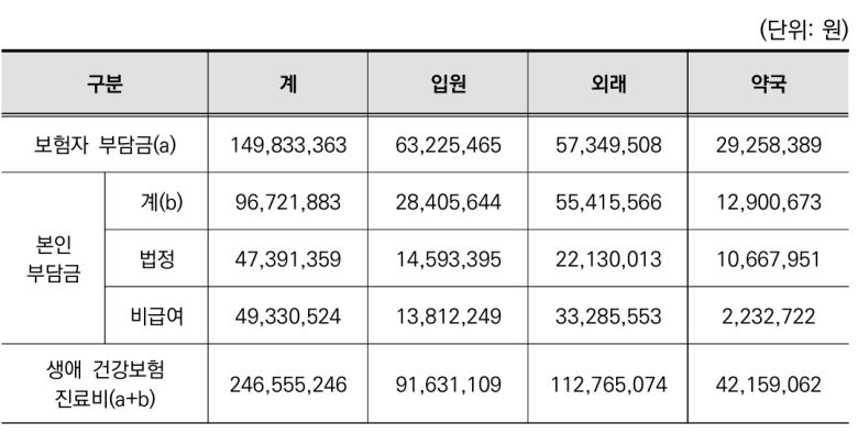 비급여 본인부담금을 포함한 진료형태별 생애 건강보험진료비 추정치. 국민건강보험공단 건강보험연구원 제공