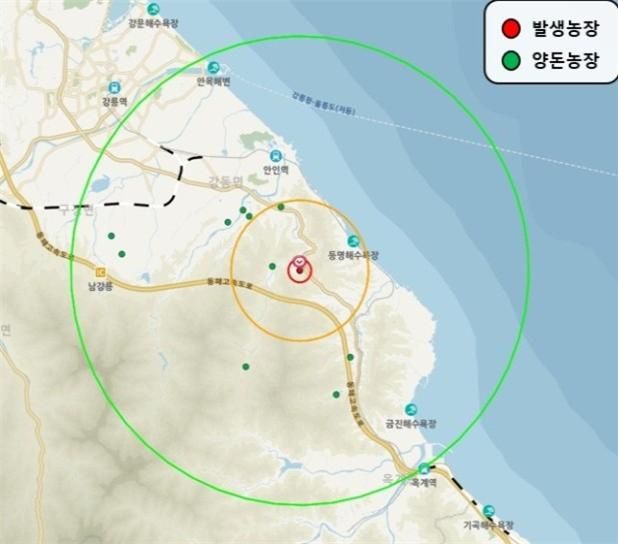 강릉 아프리카돼지열병 발생 관련 방역대(10㎞) 지도. 강원도 제공