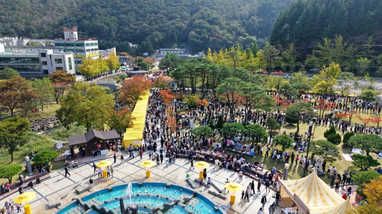 지난해 경북 김천시 직지문화공원와 사명대사공원 등에서 열린 ‘김천 김밥축제’에 시민과 관광객들이 몰려 축제장이 북적이고 있다. 경북도 제공