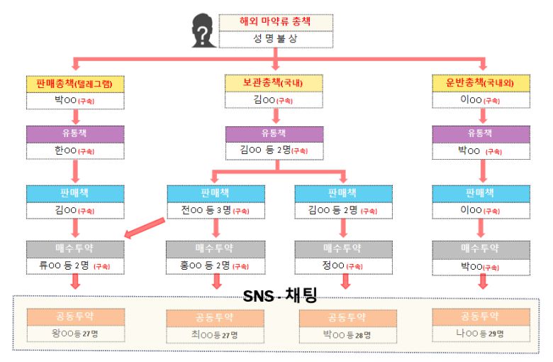 마약류 유통사범 조직도. 강원경찰청 제공