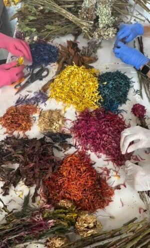 본다치 비치 테러 희생자 추모 공간에 놓였던 꽃들을 종류별로 분류하고 있다. 사진 니나 사나제 인스타그램