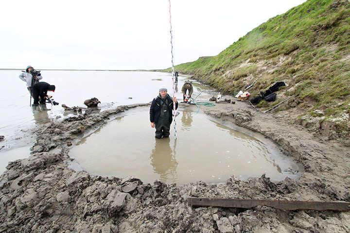 러시아 서시베리아에서 발견된 1만 년 전 매머드의 화석 발굴 현장