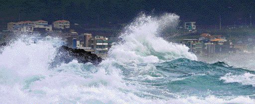 북상하는 태풍 ‘바비’  - 올 들어 가장 강력한 태풍인 ‘바비’가 한반도를 향해 북상하는 가운데 25일 오전 제주 서귀포시 안덕면 사계리 해안가에 강한 파도가 몰아닥치고 있다. 제8호 태풍 바비는 최대순간풍속 초속 40~60m의 매우 강한 바람을 동반한 채 26일 오후부터 27일 사이 제주와 전남을 지날 것으로 보인다. 이 정도 바람이면 사람이 걸어 다닐 수 없고 시설물이 바람에 날려 부서질 수 있다. 기상청은 철탑, 공사장, 가로수, 코로나19 선별진료소, 비닐하우스 등 시설물 안전사고에 대비해야 한다고 당부했다.서귀포 연합뉴스