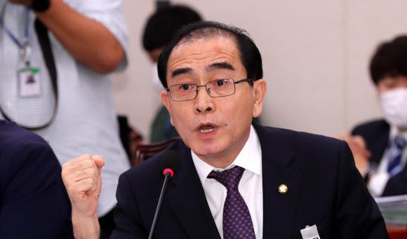 대북 전단 관련 질의하는 태영호 의원 - 미래통합당 태영호 의원이 3일 오후 서울 여의도 국회에서 열린 외교통일위원회 전체회의에서 대북 전단 살포를 금지하는 내용의 남북교류협력법 개정안에 대해 질의하고 있다. 2020.8.3 연합뉴스