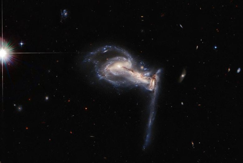 허블우주망원경이 포착한 ‘Arp 195’의 모습. 사진=ESA/Hubble & NASA, J. Dalcanton