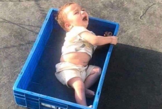 카불 공항에서 부모를 잃어버린 생수 7개월 아기가 발견됐다 -AsvakaNews 트위