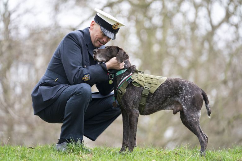영국 퇴역 군견 허츠가 핸들러였던 조너선 태너 준위와 만나고 있는 모습.(사진=AP 연합뉴스)