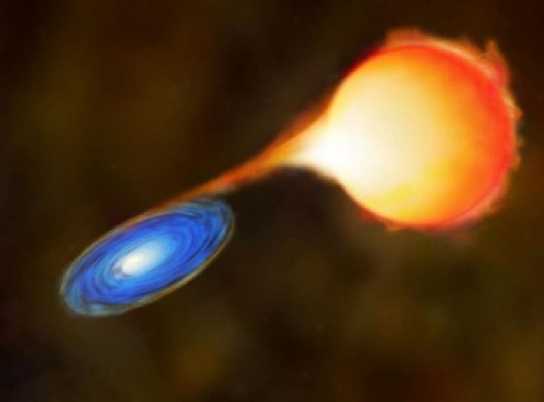 이웃한 백색왜성에 물질을 빼앗기고 있는 적색거성의 상상 이미지.