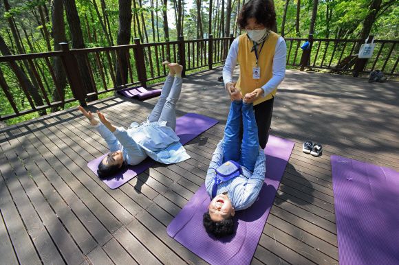 치유와 휴식을 동시에 즐길 수 있는 경남 합천 오도산자연휴양림.한국관광공사 제공