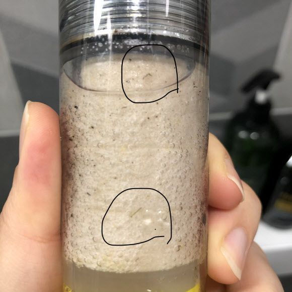 지난 20일 밤 제주 서귀포시 대포동 한 주택 샤워기 필터에서 발견된 유충. 본문과 직접 관련 없음.제주 연합뉴스