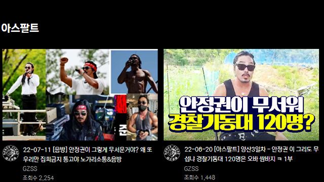 누나가 대통령실에 임용됐던 극우 유튜버 안정권씨의 영상들