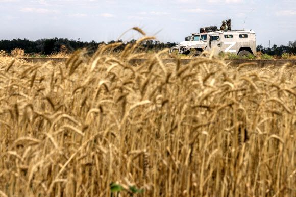 Wheat harvest in Kherson Region, Ukraine -  KHERSON REGION, UKRAINE - JULY 21, 2022: A military vehicle stands guard in a wheat field in the village of Chornobaivka. Sergei Bobylev/TASS/2022-07-22 06:07:33/ 연합뉴스