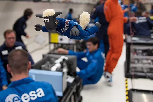 아르테미스1에 탑승할 예정인 어린 양 숀의 모습. 사진=ESA