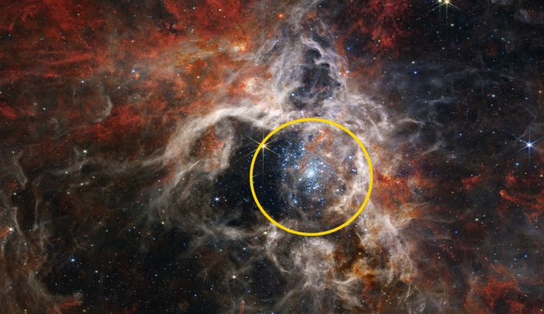 제임스 웹 우주망원경이 포착한 타란툴라 성운(Tarantula Nebula). 노란색 원 부분이 젊은 별들의 모습이다. 사진=NASA, ESA, CSA, STScI, Webb ERO Production Team