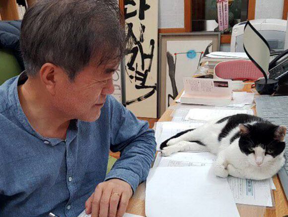 반려묘 ‘찡찡’이와 함께하는 문재인 대통령 - 청와대가 12일 SNS를 통해 문재인 대통령이 청와대 관저에서 반려묘 찡찡이와 함께하는 모습을 공개했다. 문 대통령은 고양이 찡찡이, 풍산개 마루와 곰이, 입양한 유기견 토리를 키우고 있다. 2021.2.12  청와대 제공