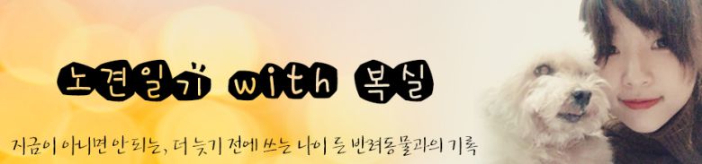 김유민의 노견일기 - 늙고 아픈 동물이 버림받지 않기를 - http://blog.naver.com/y_mint 인스타 olddogdiary 페이스북 olddogfamily