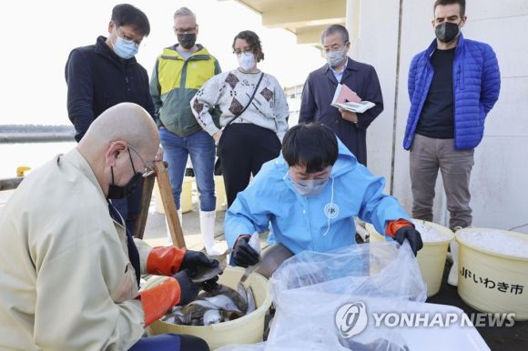 일본 정부가 내년 봄 후쿠시마 제1원전 내 오염수를 바다로 방류하기로 한 가운데 국제원자력기구(IAEA) 조사단이 10일 후쿠시마현 이와키시 항구에서 채취된 물고기 샘플을 옮겨 담는 모습을 지켜보고 있다. 2022.11.10 교도 연합뉴스