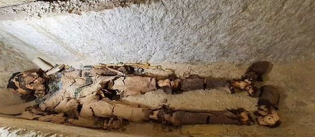 이집트 고대 유적지 사카라에서 약 4300년 된 석관에서 황금 미라가 나왔다. / 사진=알리 압두 데시스