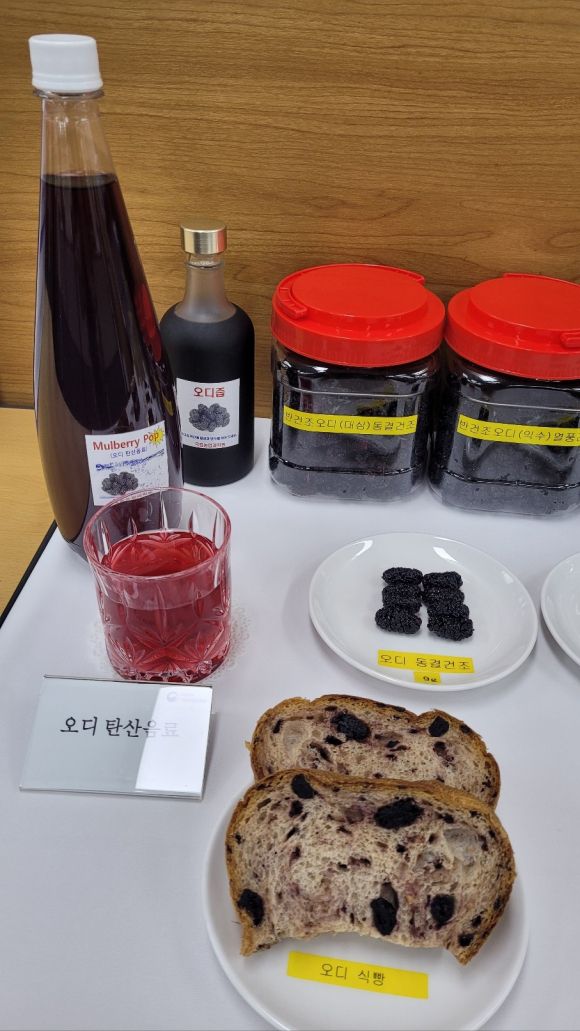뽕나무 열매 ‘오디’로 만든 탄산음료와 식빵. 뒤로 동결건조한 오디가 보인다. 농촌진흥청 제공