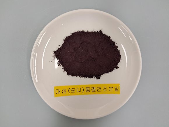 동결건조 오디 분말. 농촌진흥청 제공